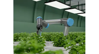 Цифровым ходом: как нейросети и роботы помогают фермерам и дачникам Подмосковья