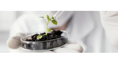 Сеяли вслепую: орловские фермеры "словили" 44 предупреждения за посев без проверки