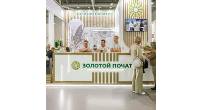 Технология адаптации: как "Золотой початок" замещает семена, а выходит лучше импорта