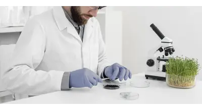 Радикальные меры: в Амурской области сожгли более 70 упаковок семян из Китая