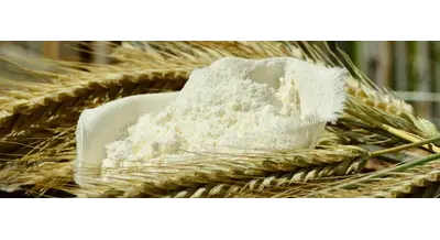 Омские фермеры закрывают хозяйства - что случилось