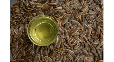 Тревожный звоночек: доходность переработки подсолнечника упала до 0,8%