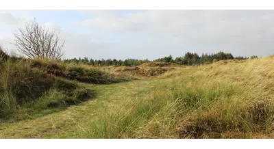 Беспилотники и цифра: как Россия вернет в оборот почти 10 млн га заброшенных полей