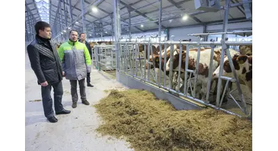 Юг Красноярского края расширит переработку зерна и производство молока