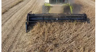 Жатка зернобобовая: когда обычной техники уже не хватает