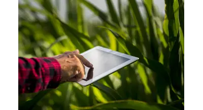 Безлюдная трансформация – как белгородский АПК ищет кадры в условиях цифровизации