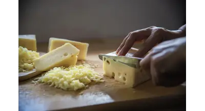 Разрешение на химозины – что нового в ГОСТе на полутвердые сыры