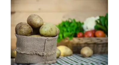 Астраханская область подтвердила лидерство по овощам и картофелю – что дальше