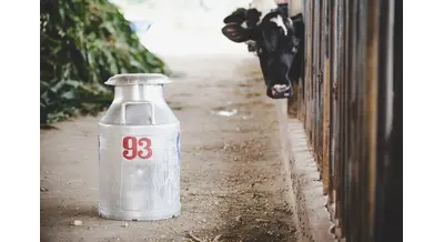 52 млн направят красноярским кооперативам на закупку молока и мяса 