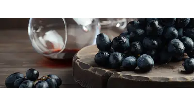 Выше только горы: крымские виноделы забрались на 1000 метров ради премиального вина