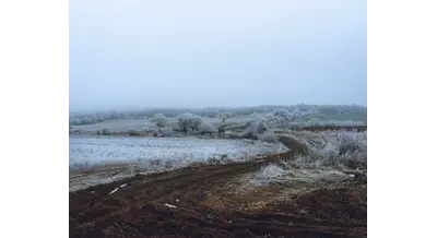 Страшные сказки: волгоградские аграрии готовятся к зиме без снега