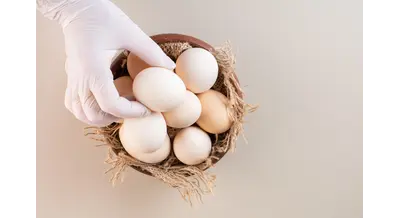 В Воронежской области стартуют три крупных аграрных проекта с господдержкой