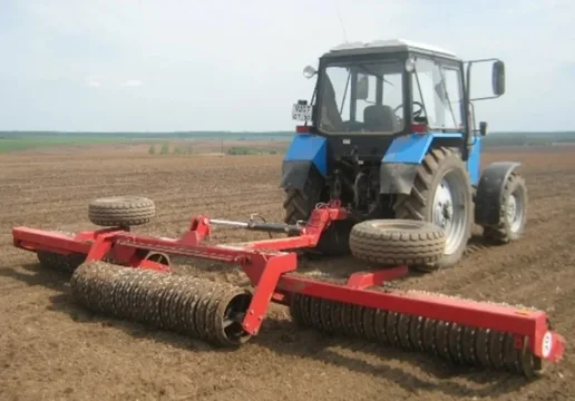 Jacek Cambridge 1707