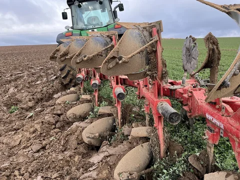 Плуг навесной TOR 5H