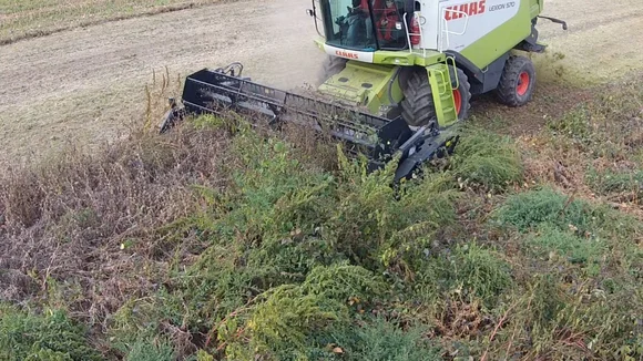 Жатка для уборки сои TOP FLEX TF750