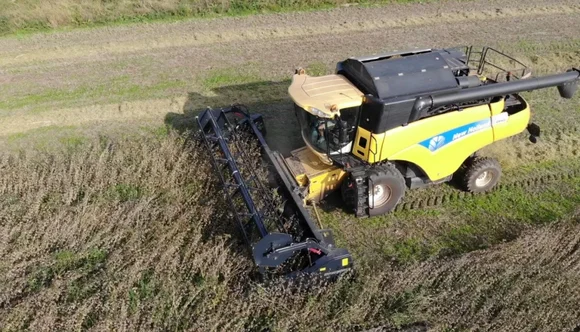 Жатка для уборки зерновых, сои TOP FLEX TF750TOP FLEX TF950S