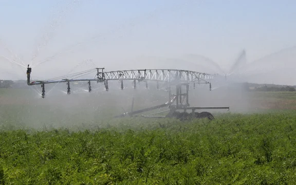 Консоли для орошения ZDM