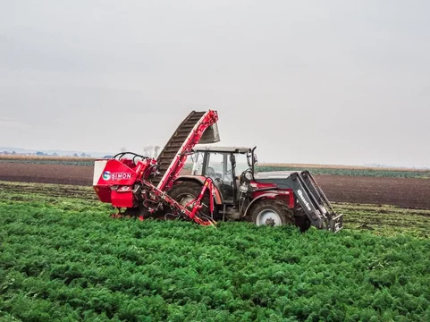 Однорядный морковоуборочный комбайн S3CMR 