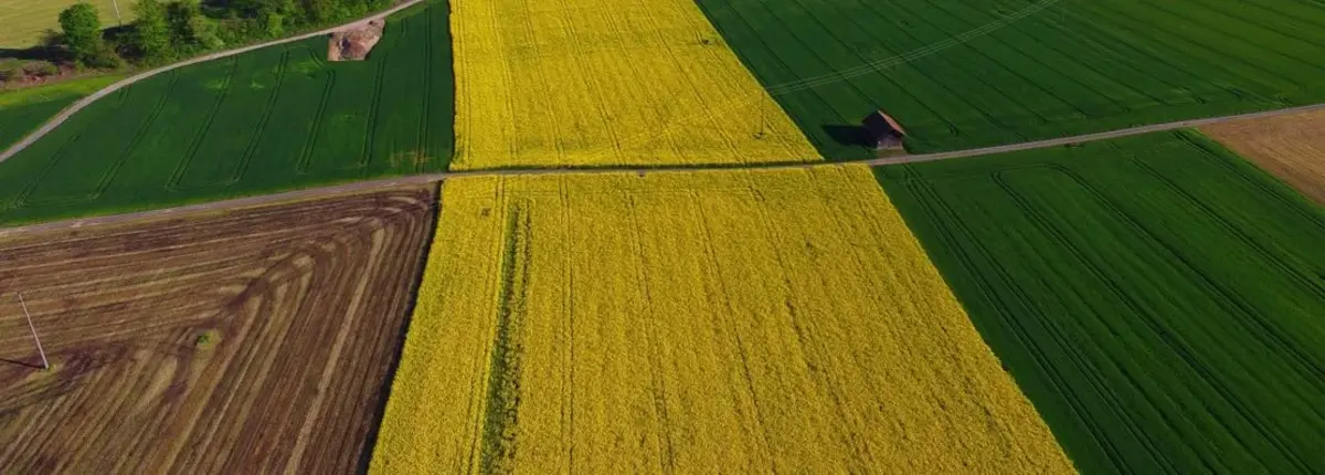 Основное изображение статьи