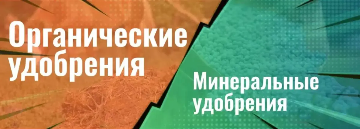 Основное изображение статьи
