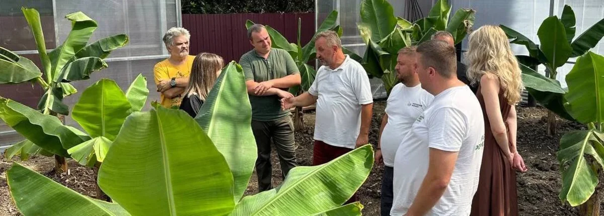 Основное изображение статьи