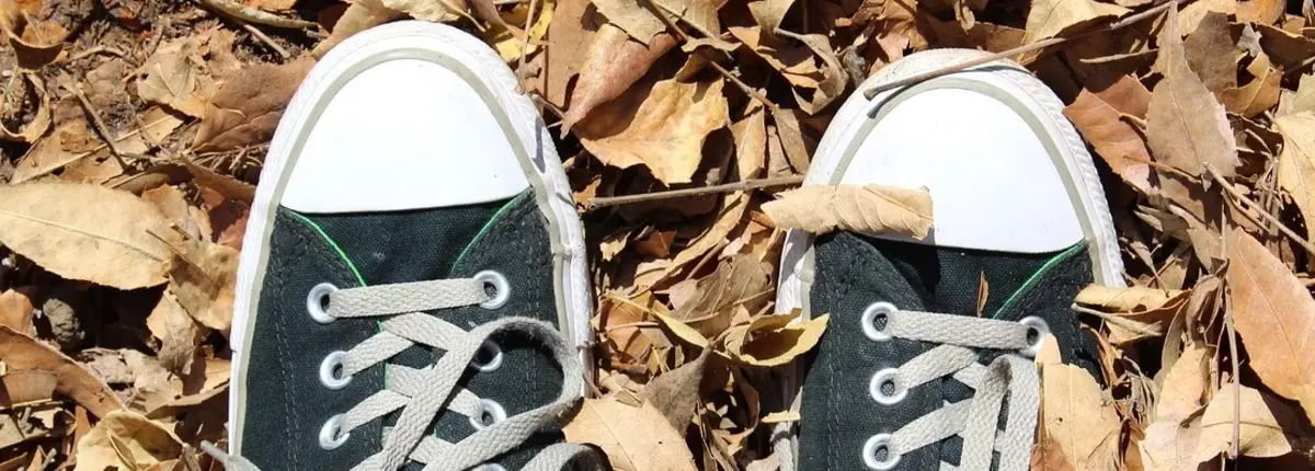 Основное изображение статьи