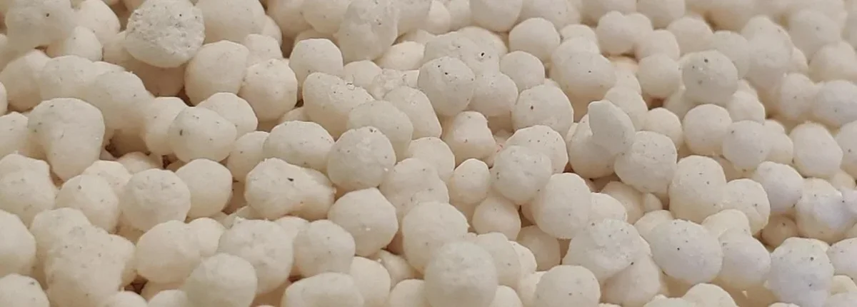 Основное изображение статьи