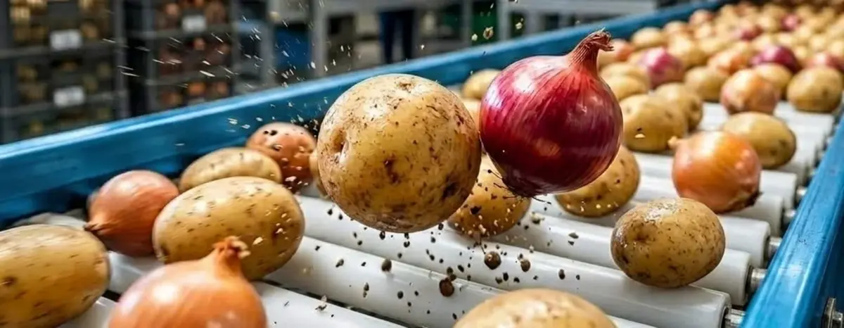Основное изображение статьи