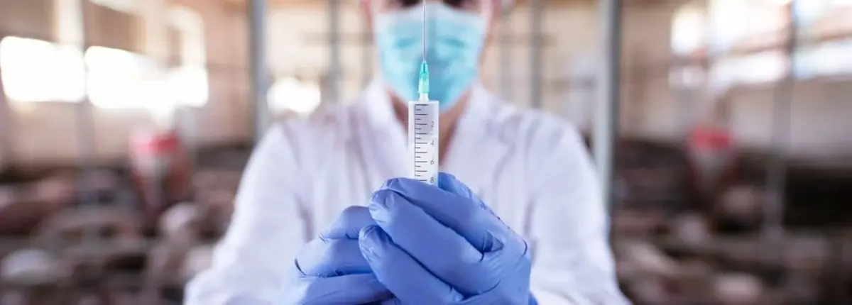 Основное изображение статьи