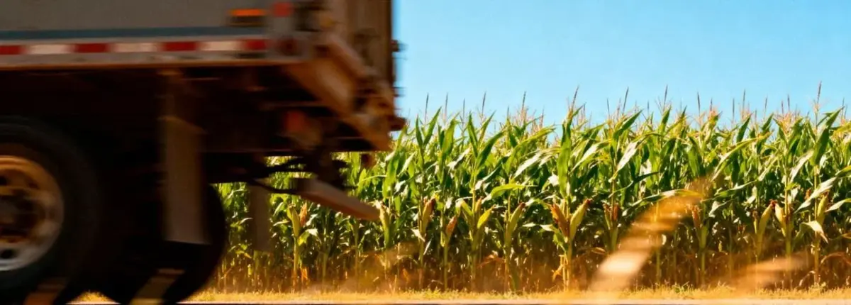 Основное изображение статьи
