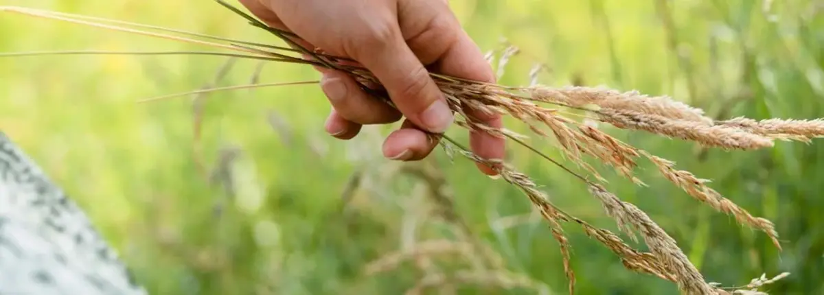 Основное изображение статьи