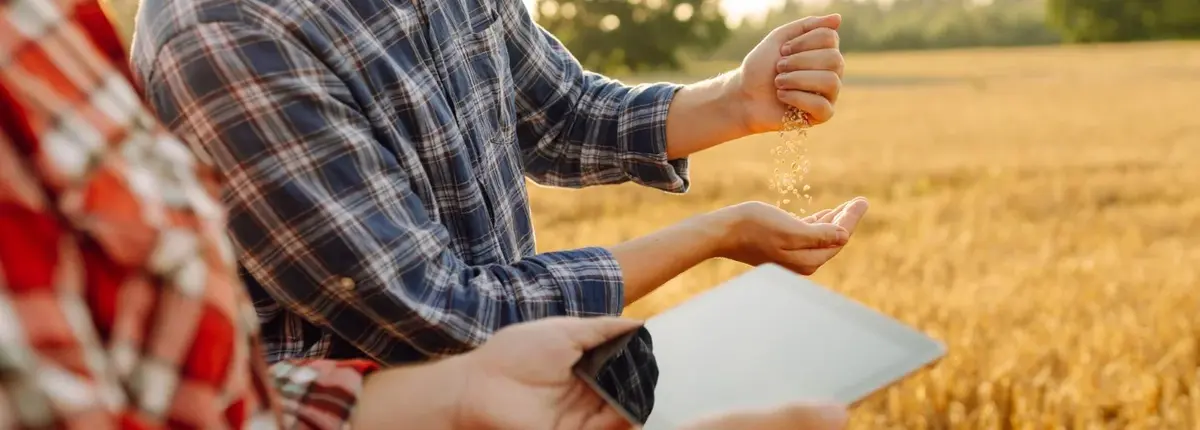 Основное изображение статьи