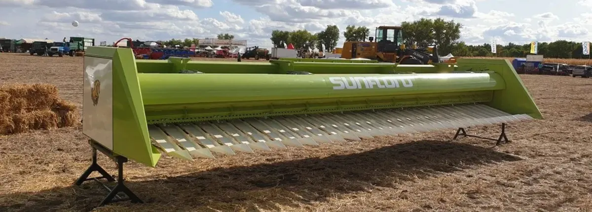 Основное изображение статьи