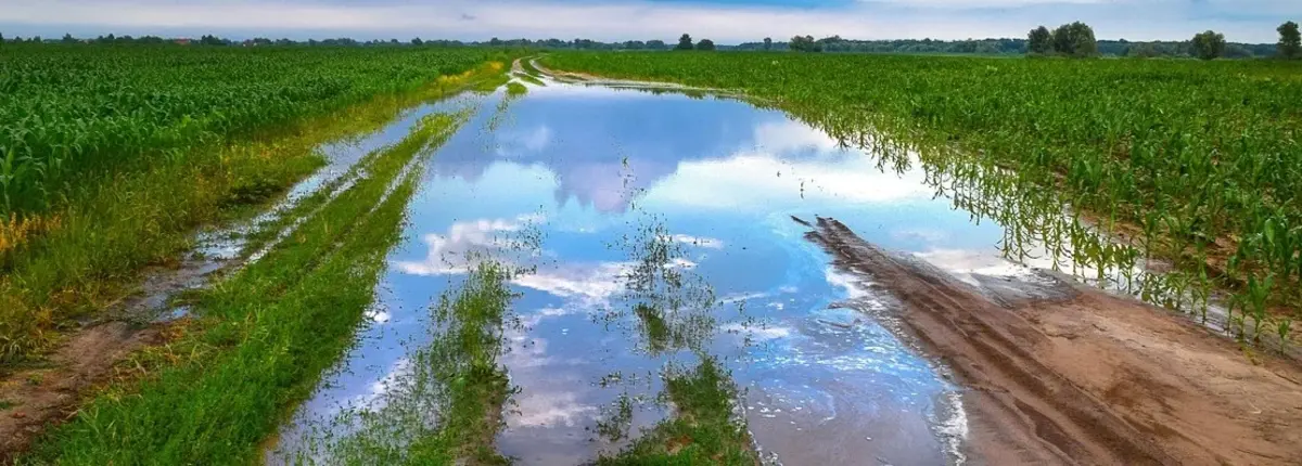 Основное изображение статьи