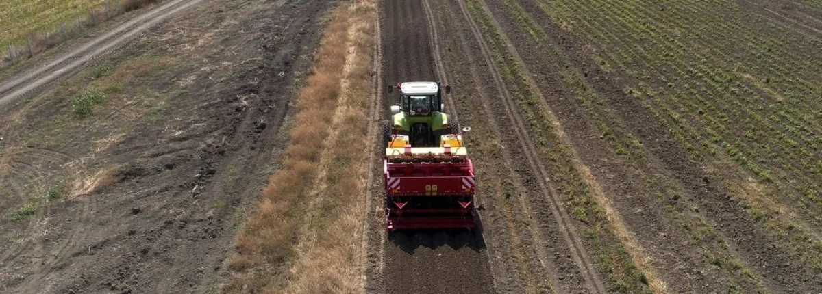 Основное изображение статьи