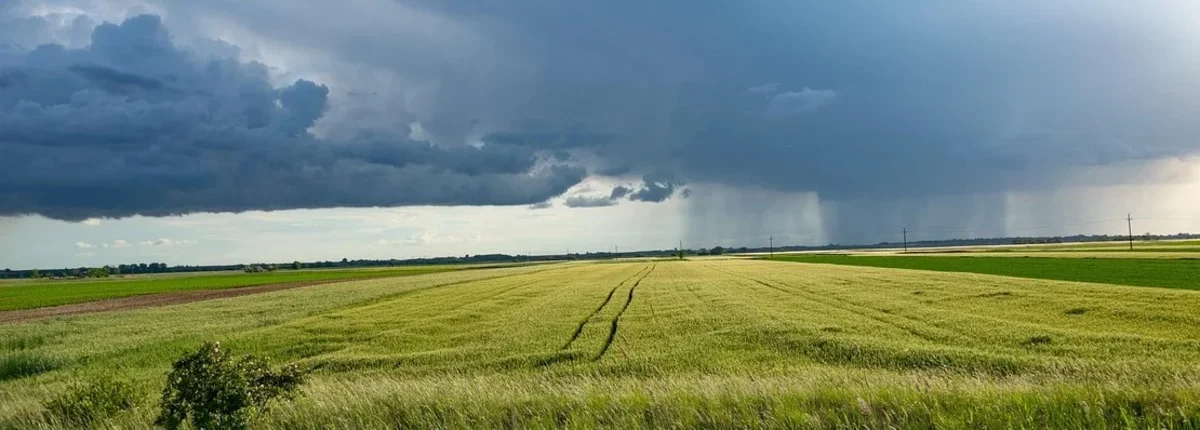Основное изображение статьи