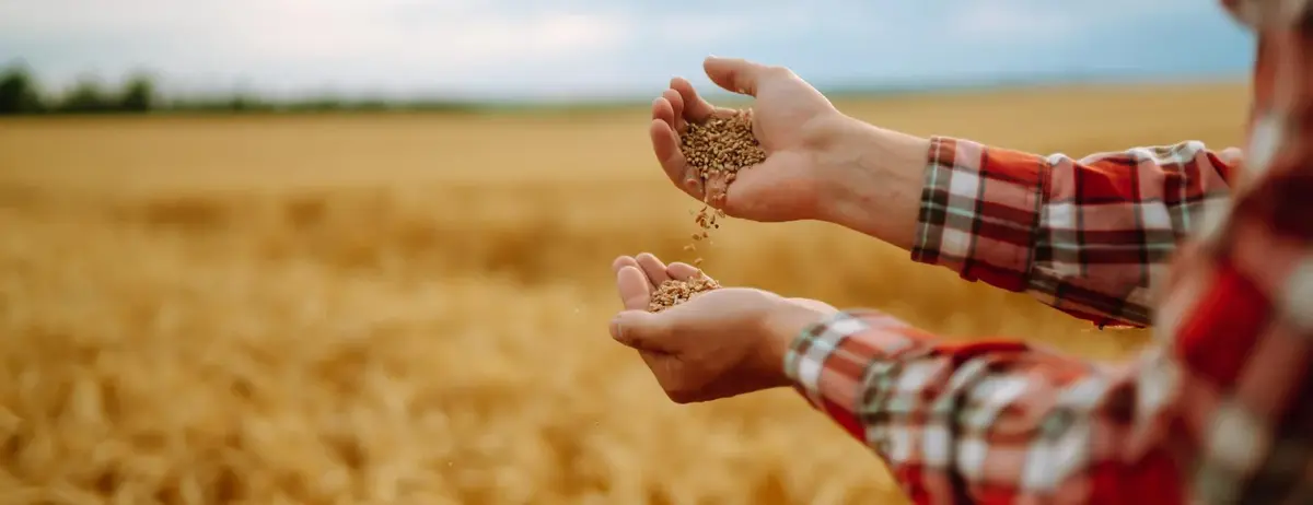 Основное изображение статьи