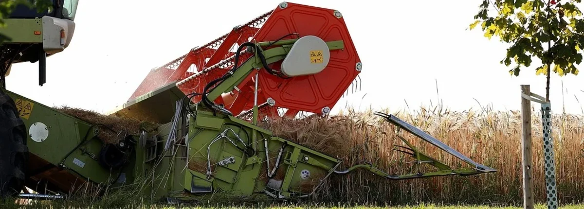 Основное изображение статьи