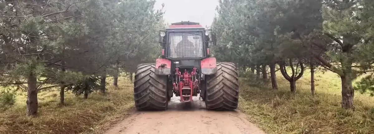 Основное изображение статьи