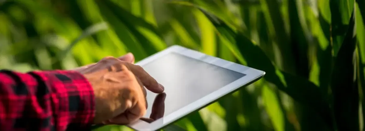 Основное изображение статьи