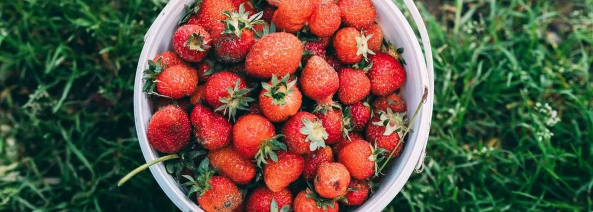 Основное изображение статьи