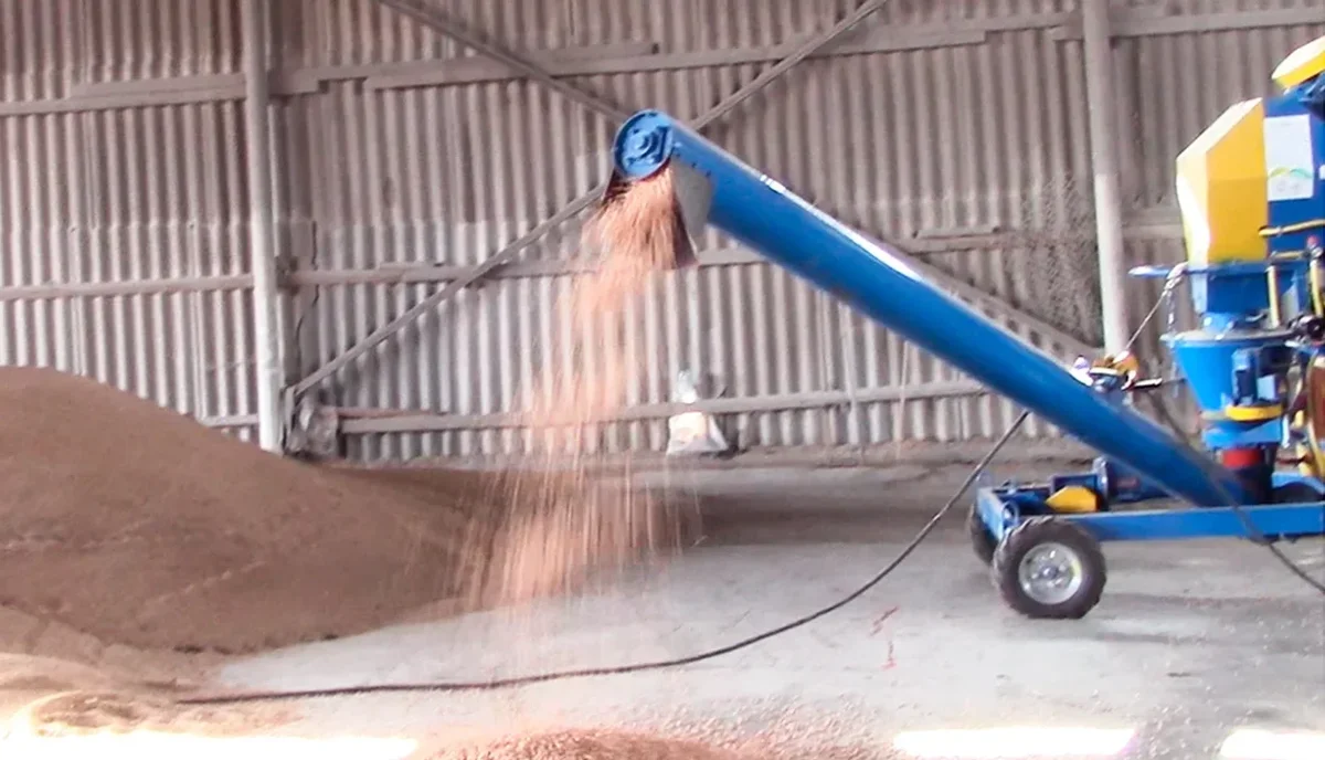 Основное изображение статьи