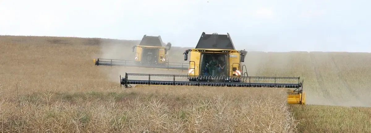 Основное изображение статьи