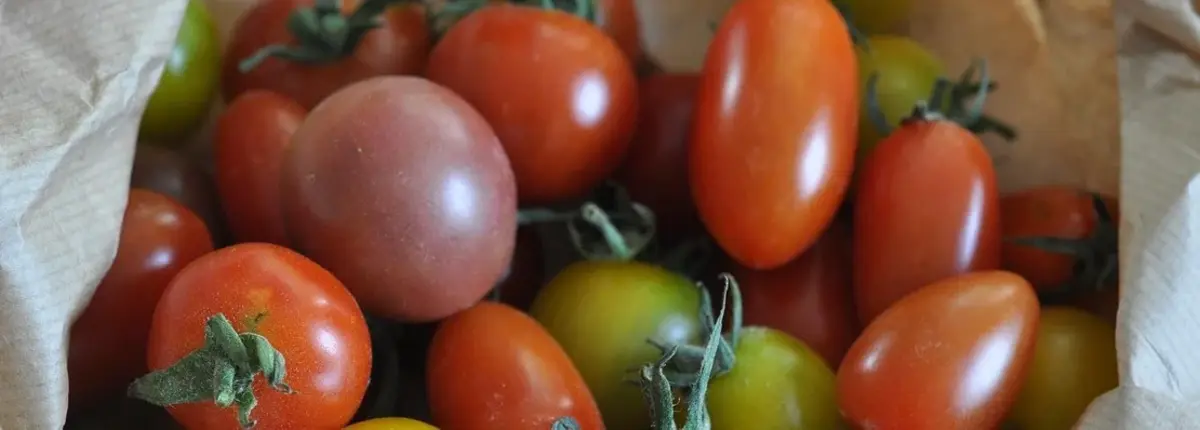 Основное изображение статьи