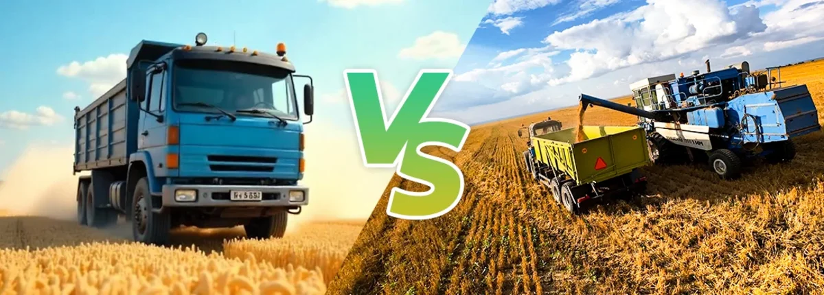 Основное изображение статьи