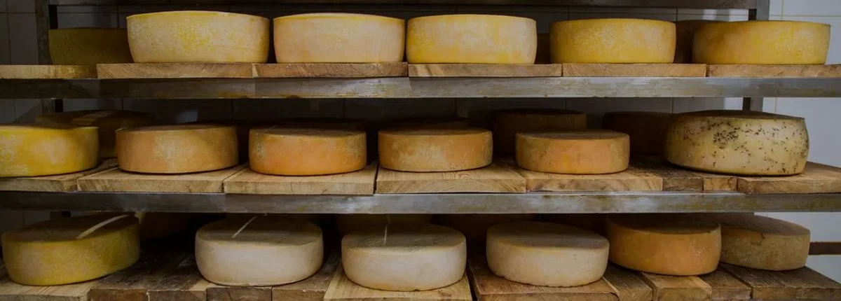 Основное изображение статьи