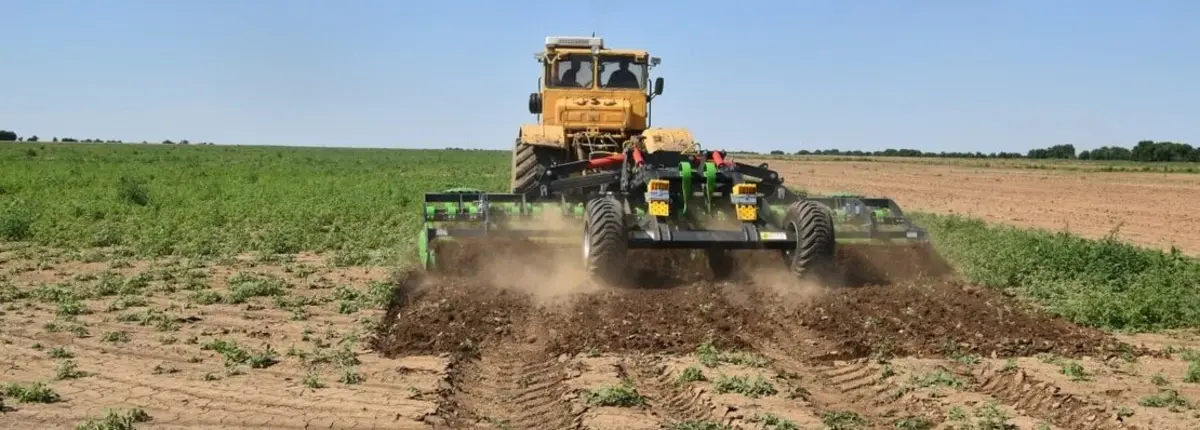 Основное изображение статьи