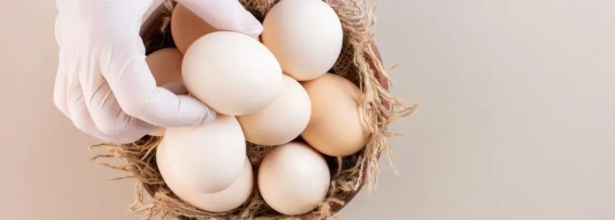 Основное изображение статьи