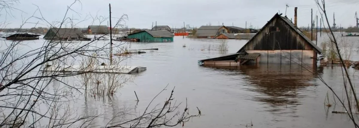 Основное изображение статьи