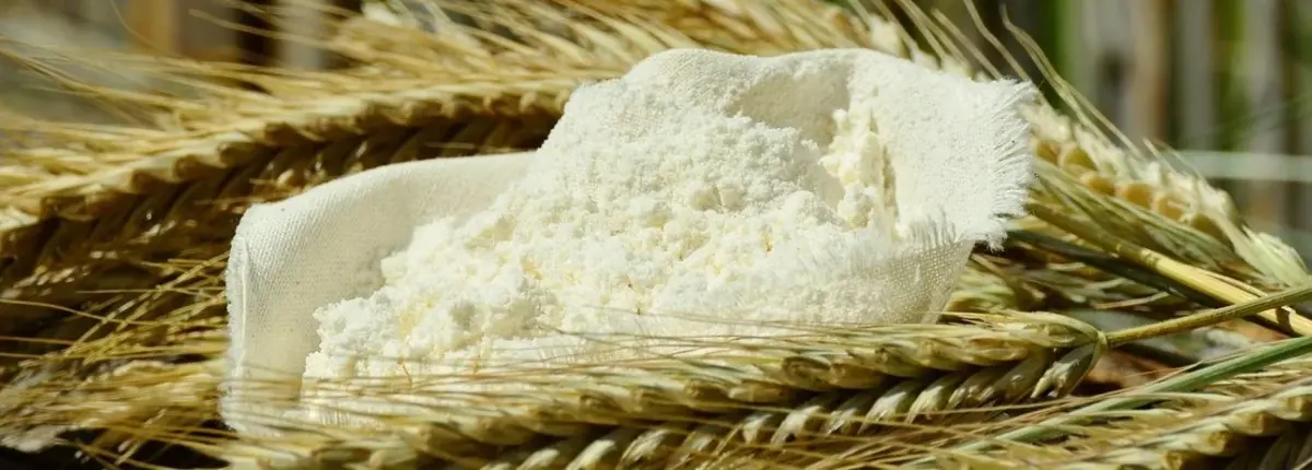 Основное изображение статьи